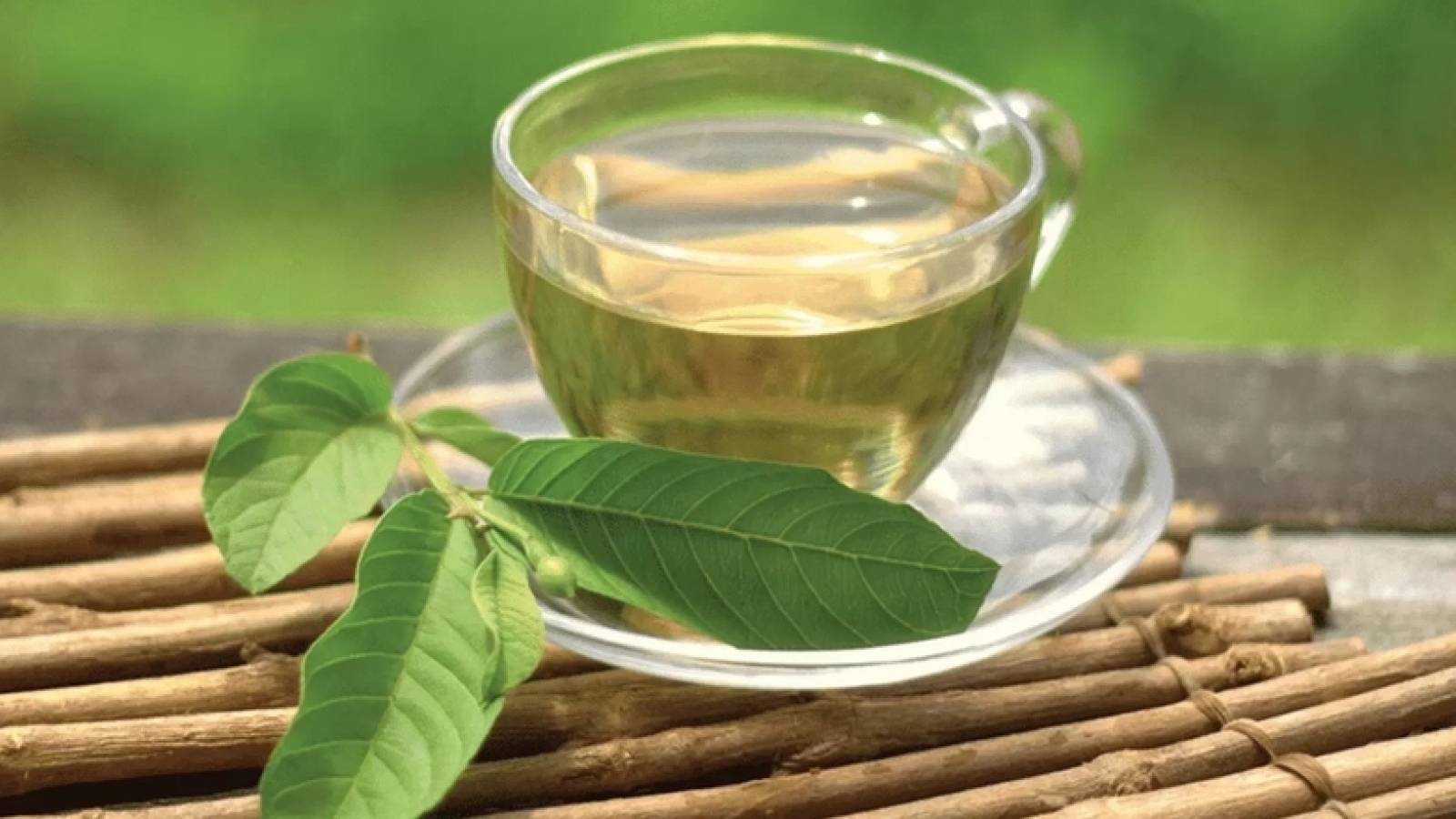 Uống nước lá ổi đúng cách: Bí quyết giúp hỗ trợ giảm cân hiệu quả